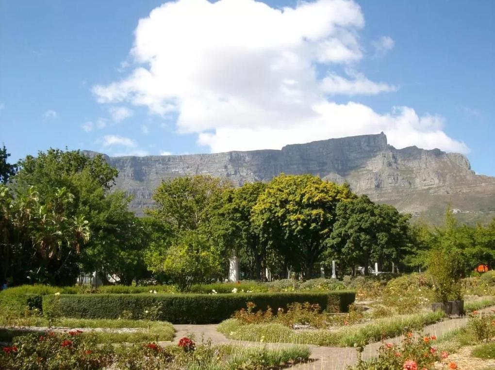 Taj Hotel Cape Town - Luxury 5 Star Suites - Very Spacious With Kitchenette, Lions Head Views Dış mekan fotoğraf
